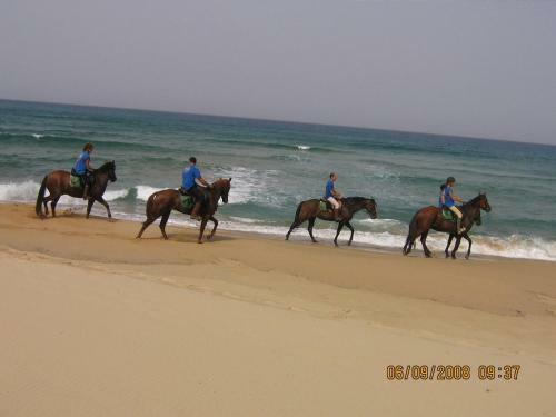 Centro Di Turismo Equestre B&B Shangril�