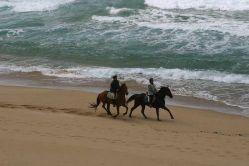 Centro Di Turismo Equestre B&B Shangril�