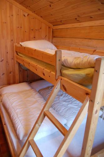 Bed & Breakfast Tynset Rom &amp; Camping