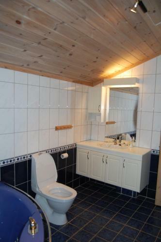 Bed & Breakfast Tynset Rom &amp; Camping