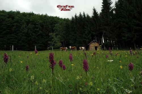 Agroturismo Ferienhof Margarethengut