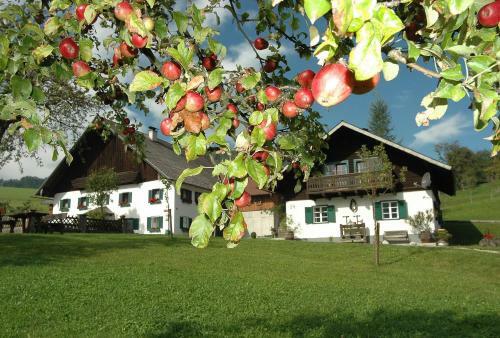 Agroturismo Ferienhof Margarethengut