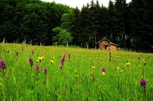 Agroturismo Ferienhof Margarethengut