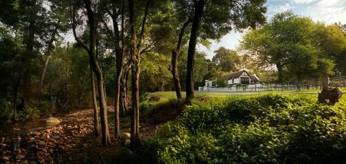 Hostal Molenvliet Wine & Guest Estate