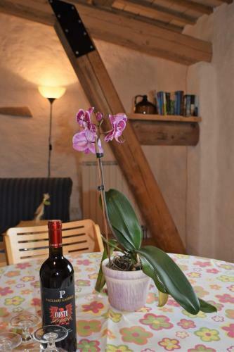 Agroturismo Agriturismo Alla Vecchia Quercia