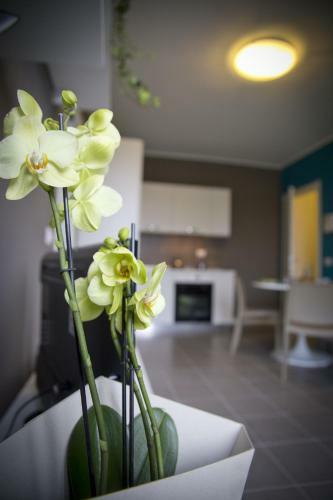Apartamento Dreams Hotel Residenza Pianell 10