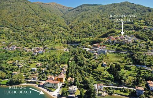 Apartamento Riva Bellano Camelia