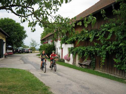 Apartamento Vitalhof Roithinger