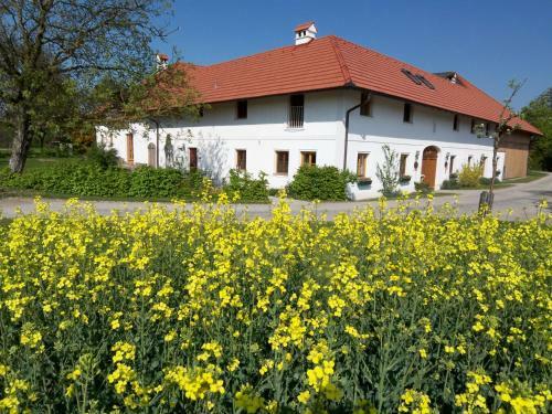 Apartamento Vitalhof Roithinger