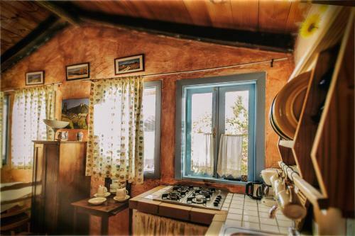 Casas Alberto
