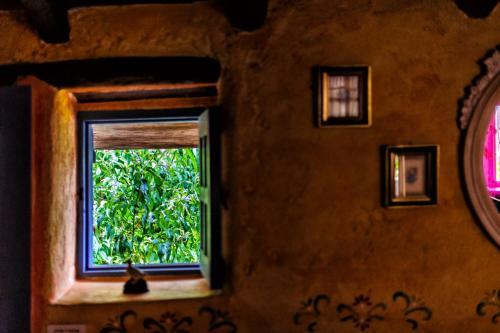 Casas Alberto