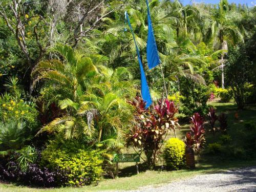 Bellingen Koompartoo Retreat