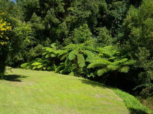 Bellingen Koompartoo Retreat