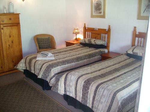 Hostal Oaktree Lodge Guest House