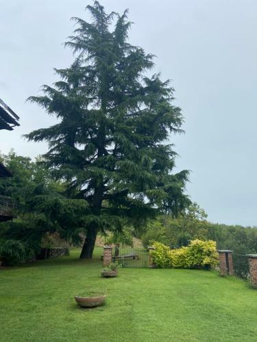 Bed & Breakfast Al Riccio