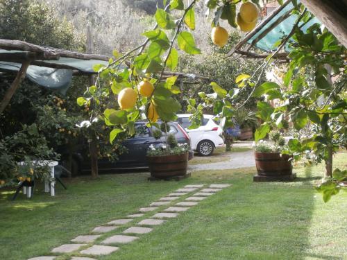 Bed & Breakfast Villa De Angelis