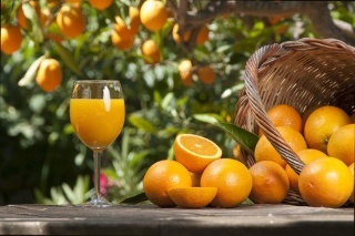 Bed & Breakfast Casa Correale