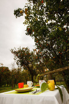Bed & Breakfast Casa Correale