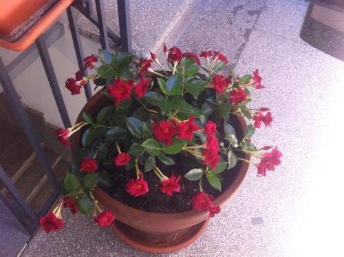 Bed & Breakfast Borgo Santa Lucia