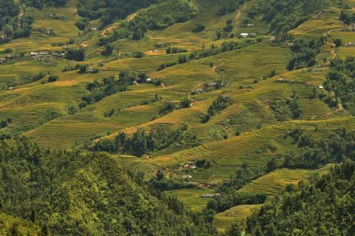 Sapa Eden Hotel