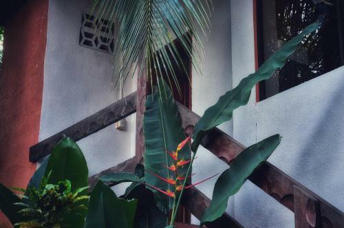 Hotel Rancho De La Playa