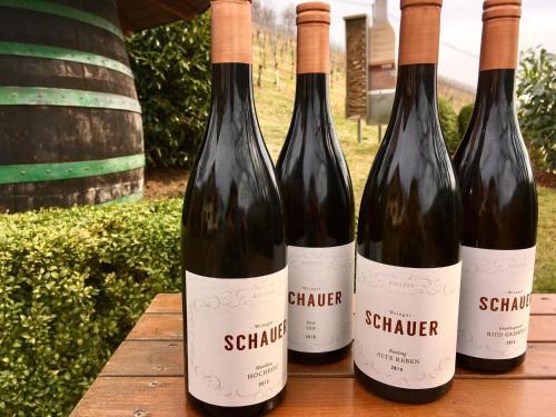 Agroturismo Weingut Schauer