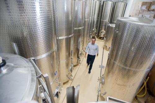 Agroturismo Weingut Schauer