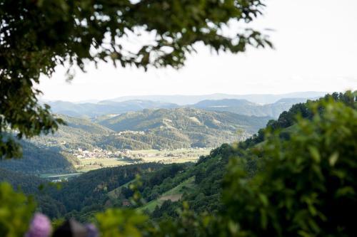 Agroturismo Weingut Schauer