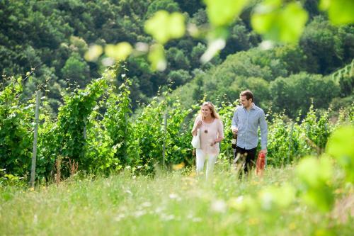 Agroturismo Weingut Schauer