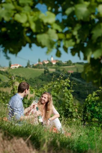 Agroturismo Weingut Schauer