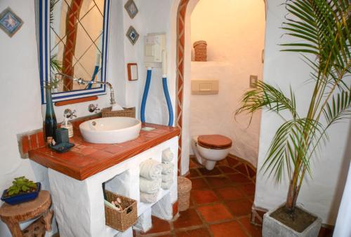 Hostal Old Thatch Lodge