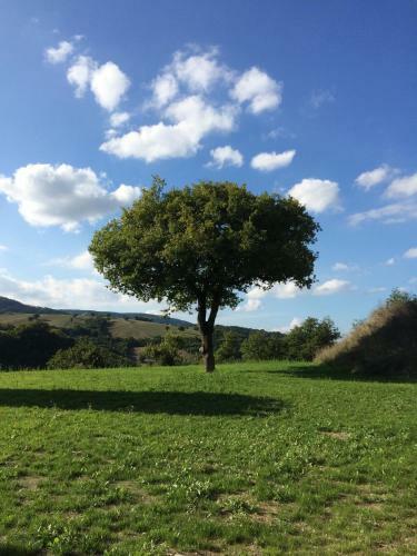 Agroturismo Agriturismo La Vita � Bella