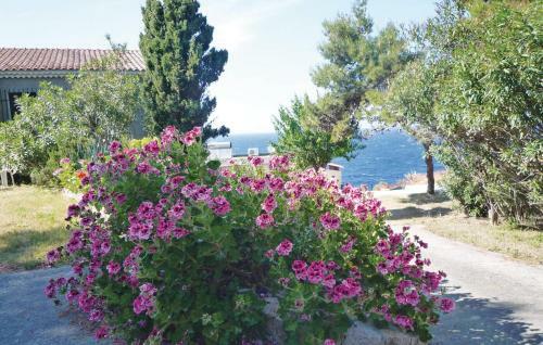 Apartment Route D'ajaccio