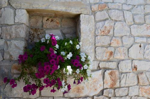 Bed & Breakfast La Collinetta