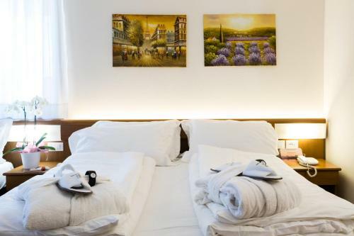 Hotel Collini