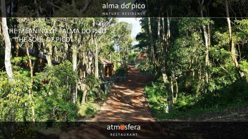 Apartamento Alma Do Pico