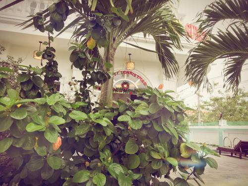 Golden Dragon Hotel