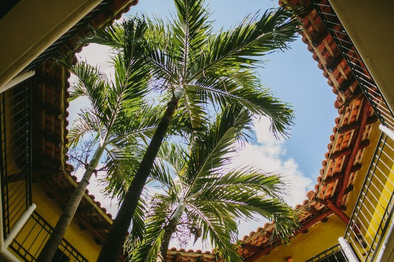Hotel Occidental Cozumel