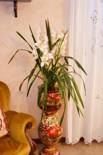 B&B Il Pavone
