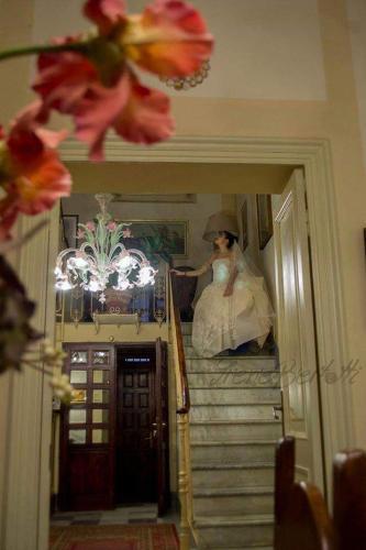 Agroturismo Villa Viola