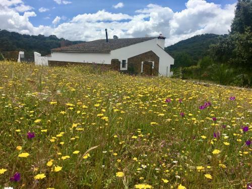 Agroturismo Finca Valle Corchoso
