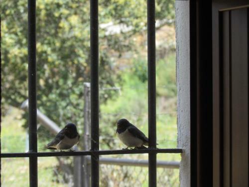 Agroturismo Finca Valle Corchoso