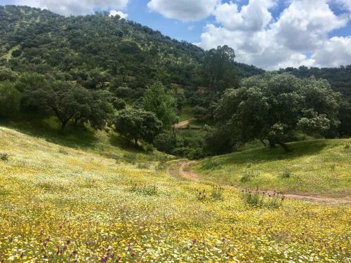 Agroturismo Finca Valle Corchoso