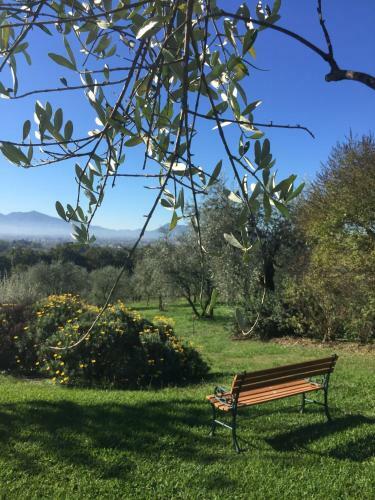Hostal Guesthouse Villa Baggine