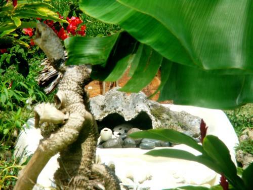 Les Cottages De Bellevue Ecolodge