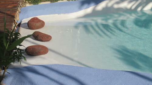 Les Cottages De Bellevue Ecolodge