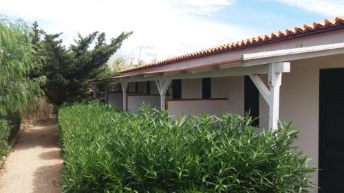 Apartamento L'araucaria