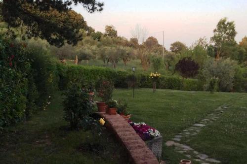 Apartamento Agriturismo La Bicocca - Apt L'olivo