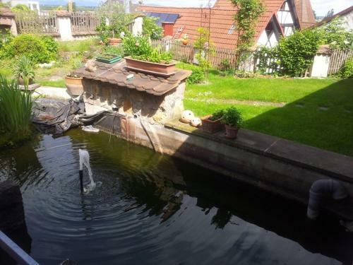 Apartamento Haus Burgblick