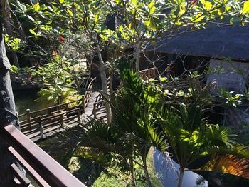 Hostal Kangkung Cottages